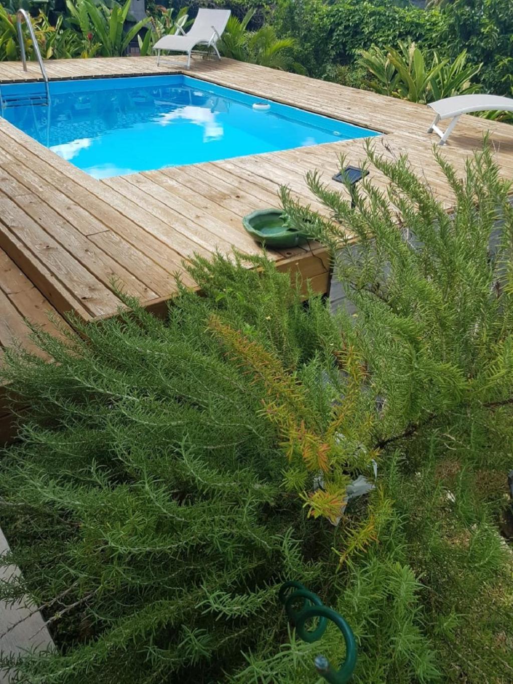 Studio Avec Piscine, A 3 Minutes A Pied Des Plages Sainte-Anne  Buitenkant foto
