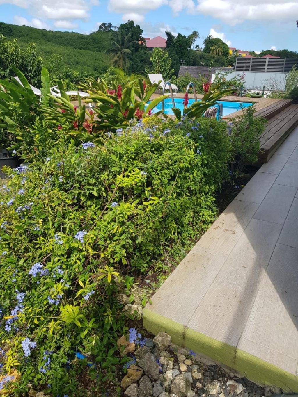 Studio Avec Piscine, A 3 Minutes A Pied Des Plages Sainte-Anne  Buitenkant foto